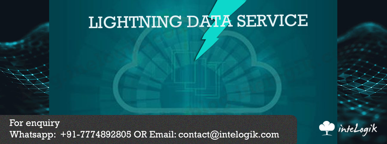 What is LIGHTNING DATA SERVICE ?