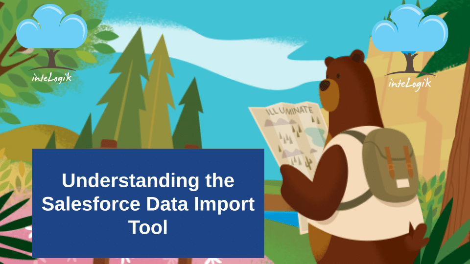 Exploring the Functionality of the Salesforce Data Import Tool