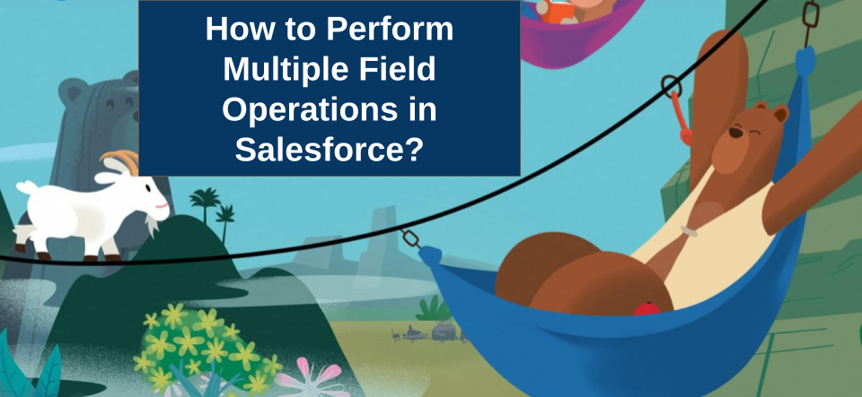 How to Execute Multiple Field Operations in Salesforce