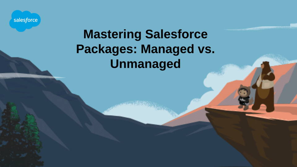 Comparing Salesforce Packages Managed and Unmanaged Versions