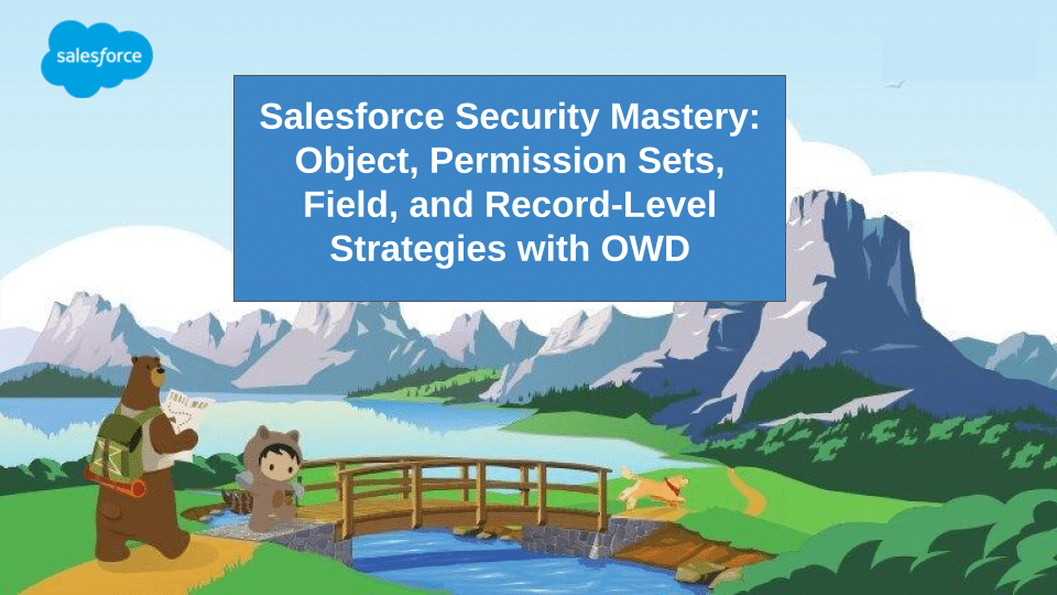 Salesforce Security Mastery Object, Permission Sets, Field, and Record-Level Strategies with OWD