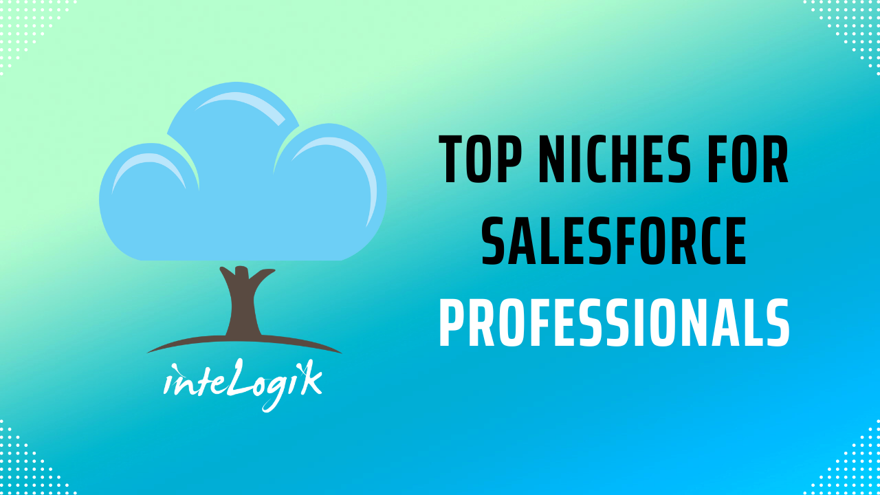 Top Niches for Salesforce professionals in 2024