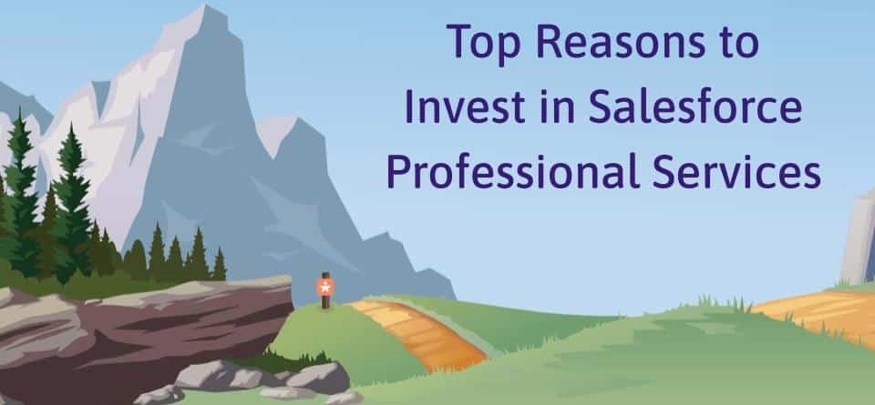 The Top Reasons to Invest in Salesforce Professional Services