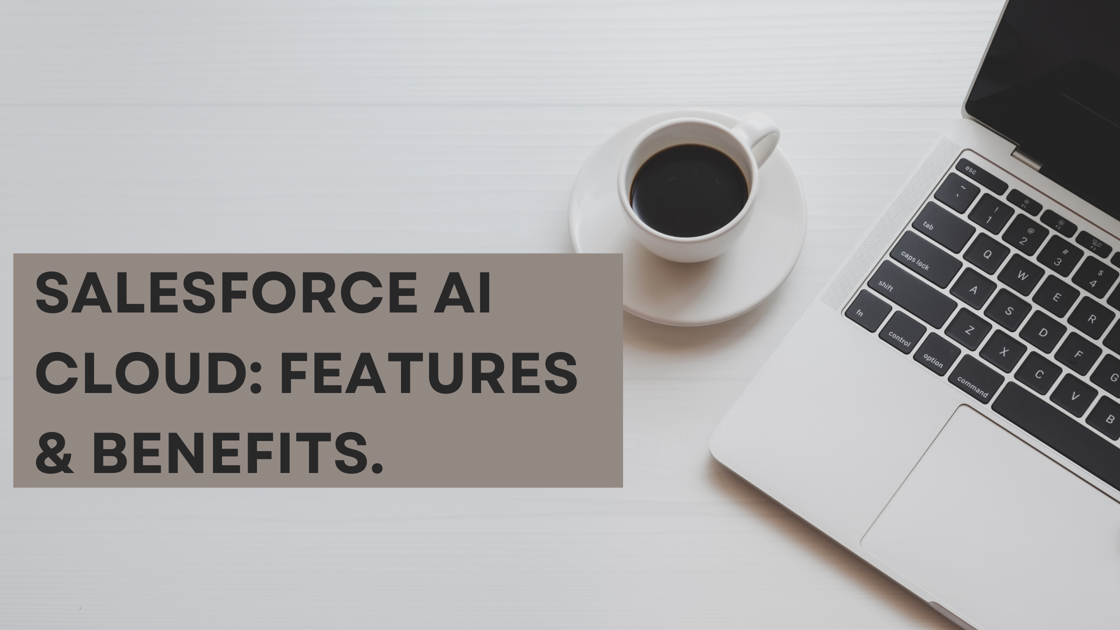 Salesforce AI Cloud Features & Benefits.