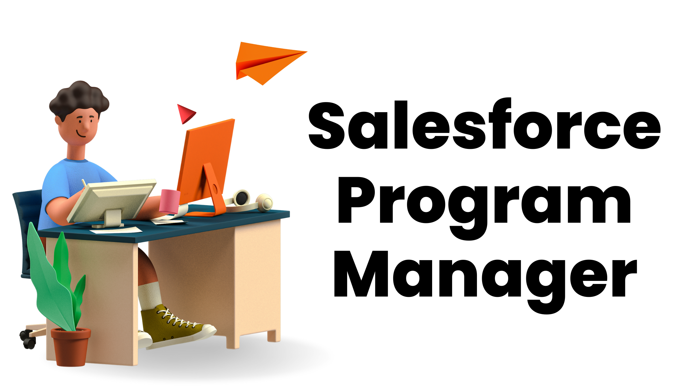 Salesforce Program Manager