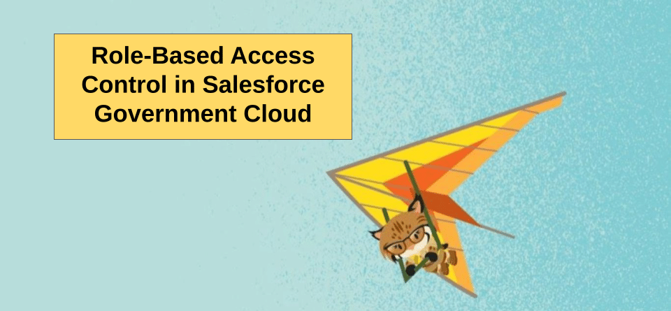 Role-Based Access Control in Salesforce Government Cloud